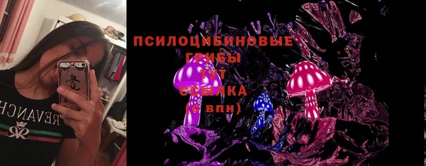 марки lsd Ельня