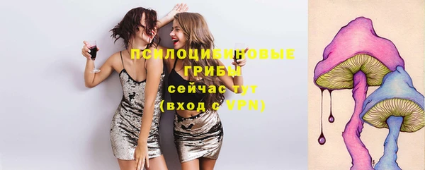 марки lsd Ельня