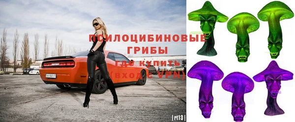 2c-b Елабуга